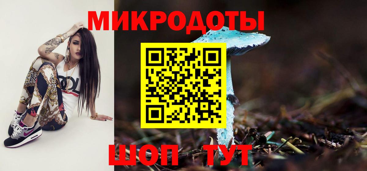 Псилоцибиновые грибы Cubensis  цены   Псилоцибиновые грибы прущие грибы  Холмск  Вход с VPN 